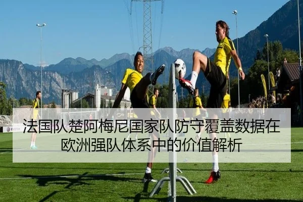 法国队楚阿梅尼国家队防守覆盖数据在欧洲强队体系中的价值解析