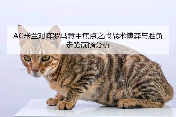 AC米兰对阵罗马意甲焦点之战战术博弈与胜负走势前瞻分析